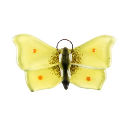 Citron-sommerfugl relief
