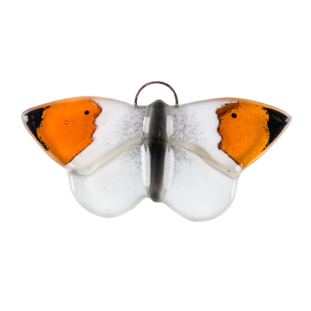 Orange Tip 1 Orange Tip