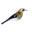 Jay
